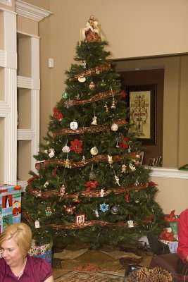 IMG_2591.jpg