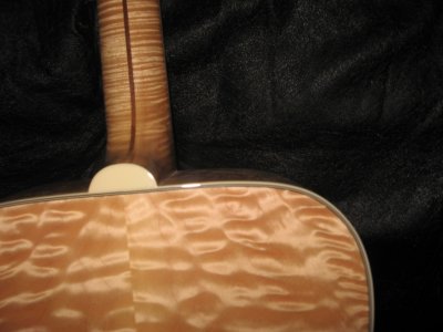 Woods 010.jpg