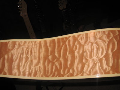 Woods 015.jpg