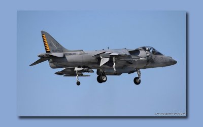 AV-8B Harrier of the Marine Attack Squadron VMA-542