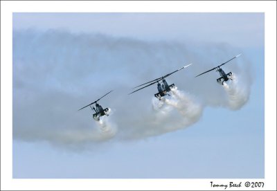 U.S. Army Sky soldiers - Cobra Helicopter Demonstration Team