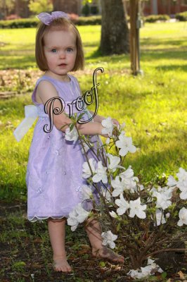 IMG_3882 copy.jpg