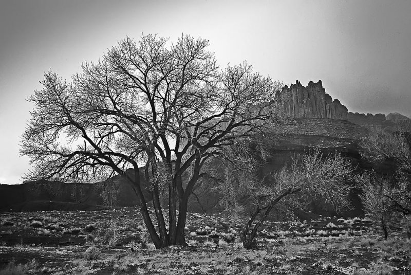 Capitol Reef National Park