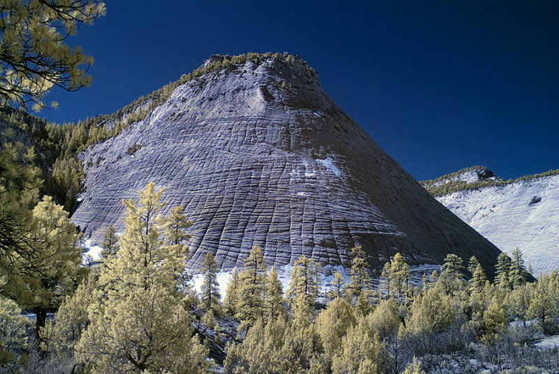 At Zion National Park