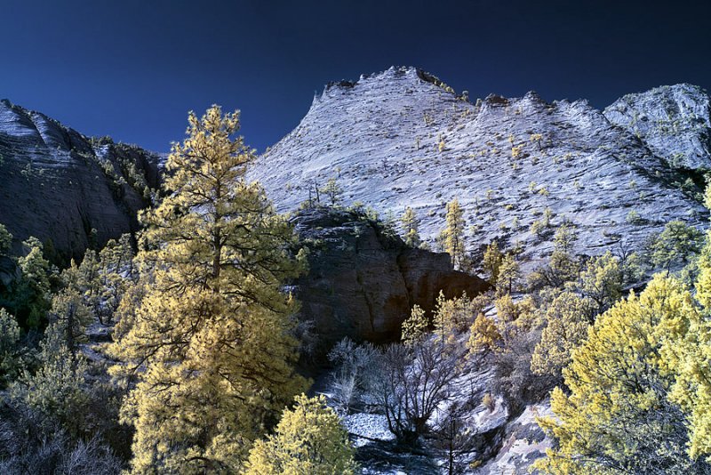 Zion National Park. This is a four shot merged photo.