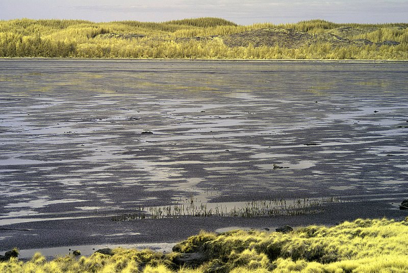 Willapa Bay, Washington.