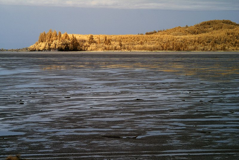 Willapa Bay, Washington.