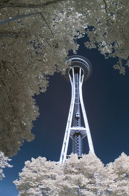 Space Needle in Infrared