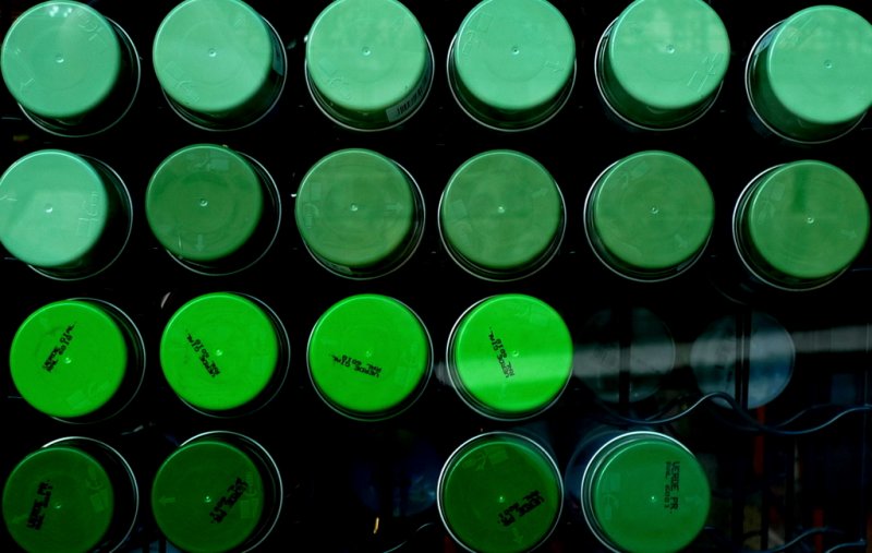 Green  Spray