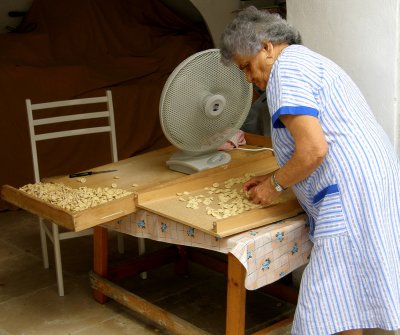 Lady Orecchiette