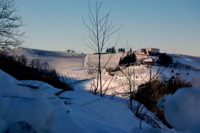 Snow in Langhe