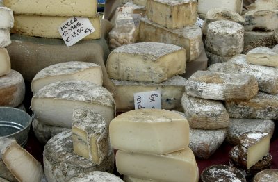 Italian cheese