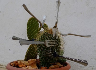 Forks plant