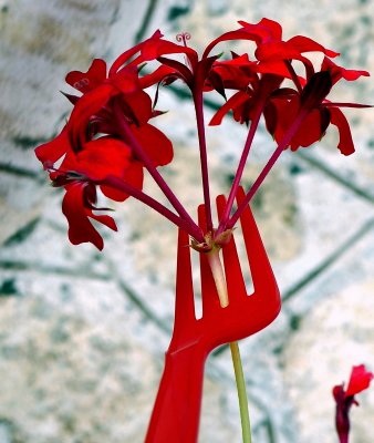 Flower&Fork