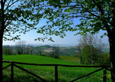 Langhe region of good wine