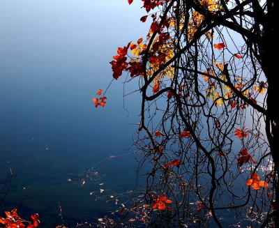 Lakes Avigliana - Italy