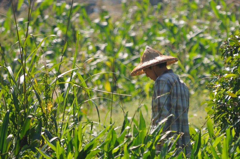 Jan 19  Outstanding in his field.