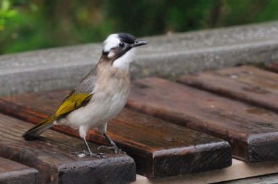 Apr 19  Happy Bird day lil' bro! 