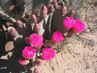IMG_9326.JPG