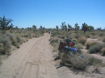 IMG_9331.JPG