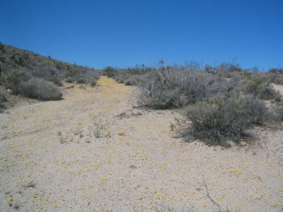 IMG_9338.JPG