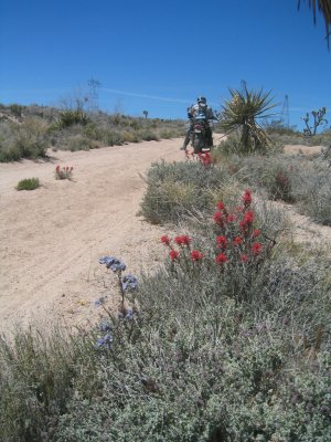 IMG_9339.JPG
