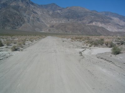IMG_9354.JPG