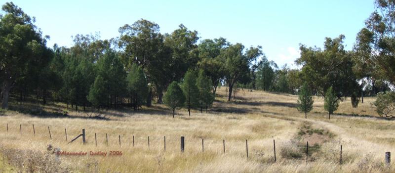 Myall Creek Historic Site