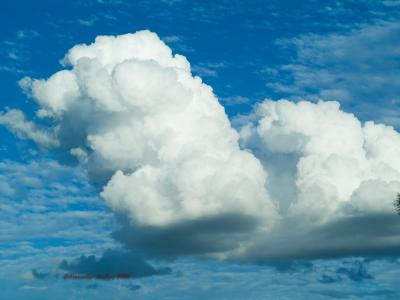 g3/23/341923/3/58838299.Coolcloud.jpg