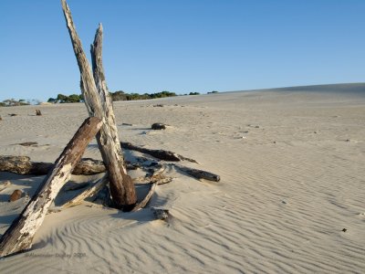 Henty Dunes, West Coast Tasmania