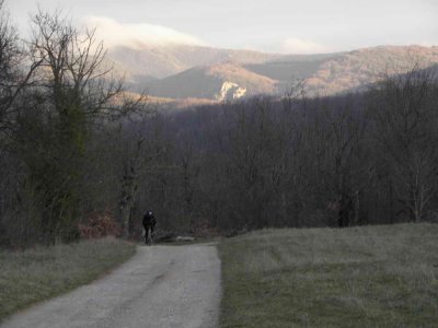 Chemin forestier de Crausse-Rabassi