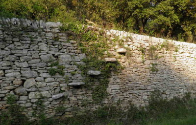 P4270412.jpg