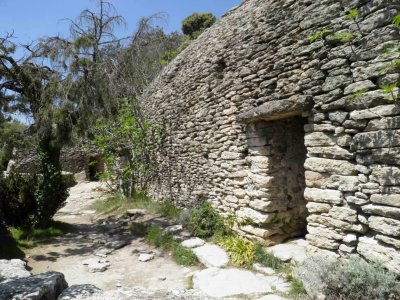 P4290544.JPG