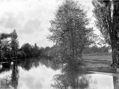 L'eau tranquille