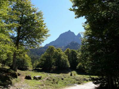 L'Ossau vu de Bious Artigues