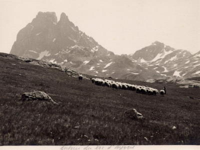 Ossau, des environs des lacs d'Ayous