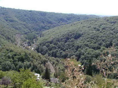 P1010034.JPG