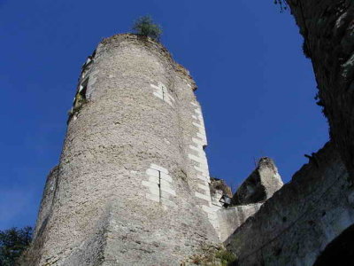 Le donjon du chteau de Montrsor