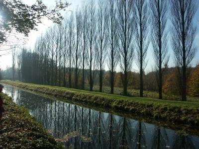 Anglesey Abbey 3