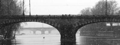 Bridges on Vltava river BW