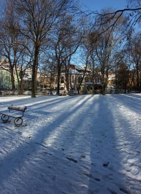 After the snow in the park