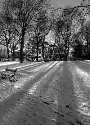 After the snow in the park BW