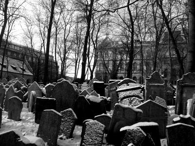 Jewish Cemetery - Josevof BW 2