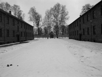 Auschwitz - Birkenau