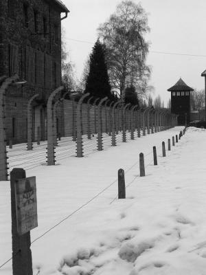 Auschwitz - Birkenau