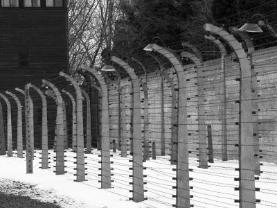 Auschwitz - Birkenau