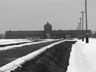 Auschwitz - Birkenau