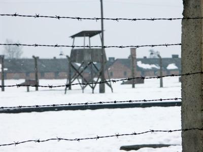 Auschwitz - Birkenau