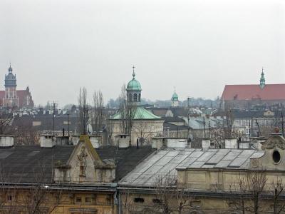View from the Wawel castle