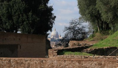 IMG_3699.jpg
